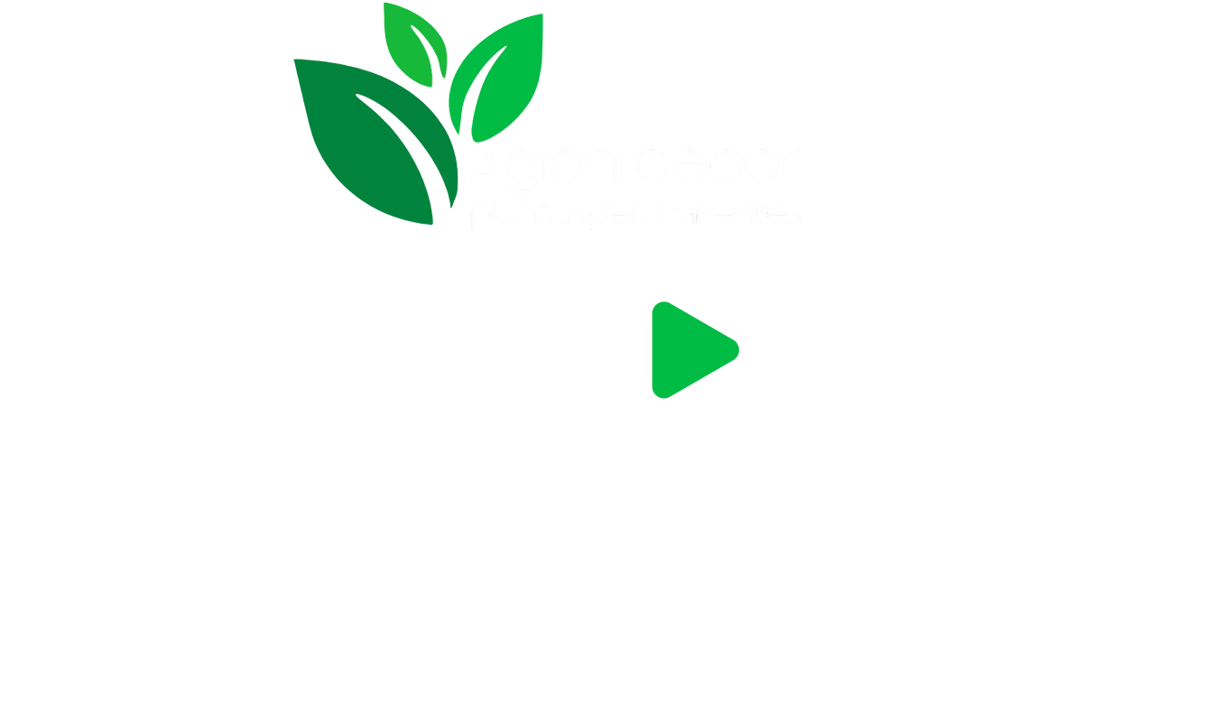 Agiani Decor